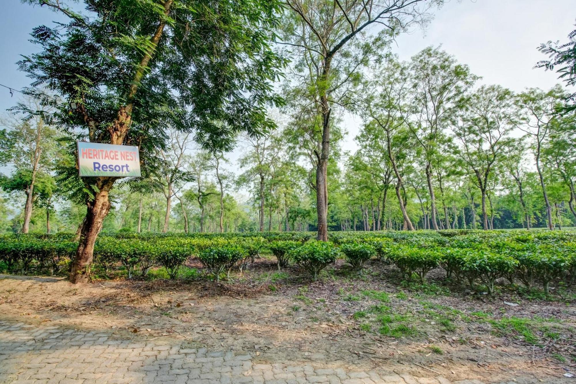 Hotel O Heritage Nest Resort Kazirnga Kāziranga Esterno foto